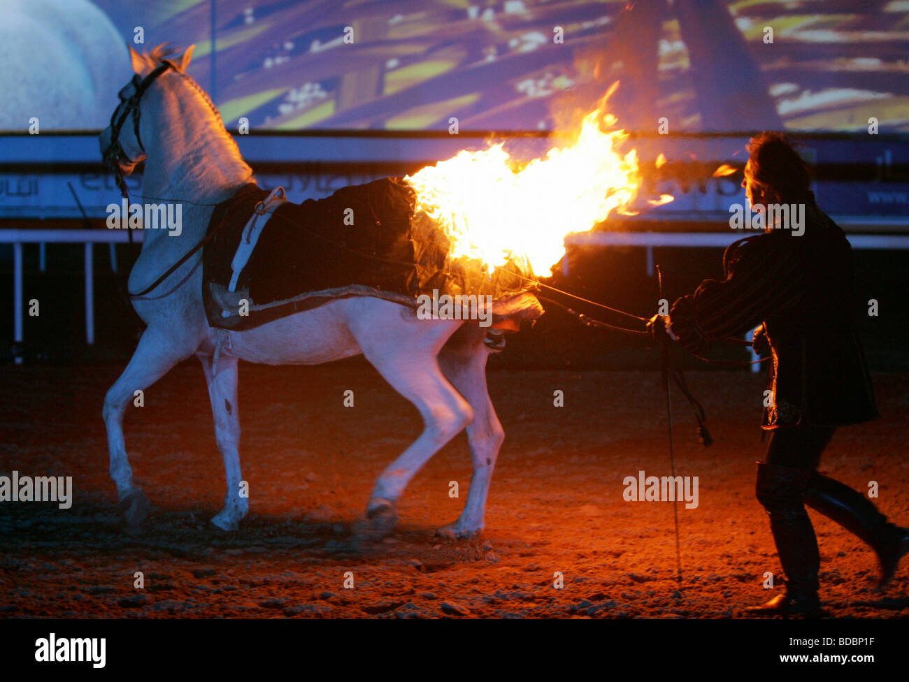 Horse with burning blanket, Dubai, United Arab Emirates Stock Photo