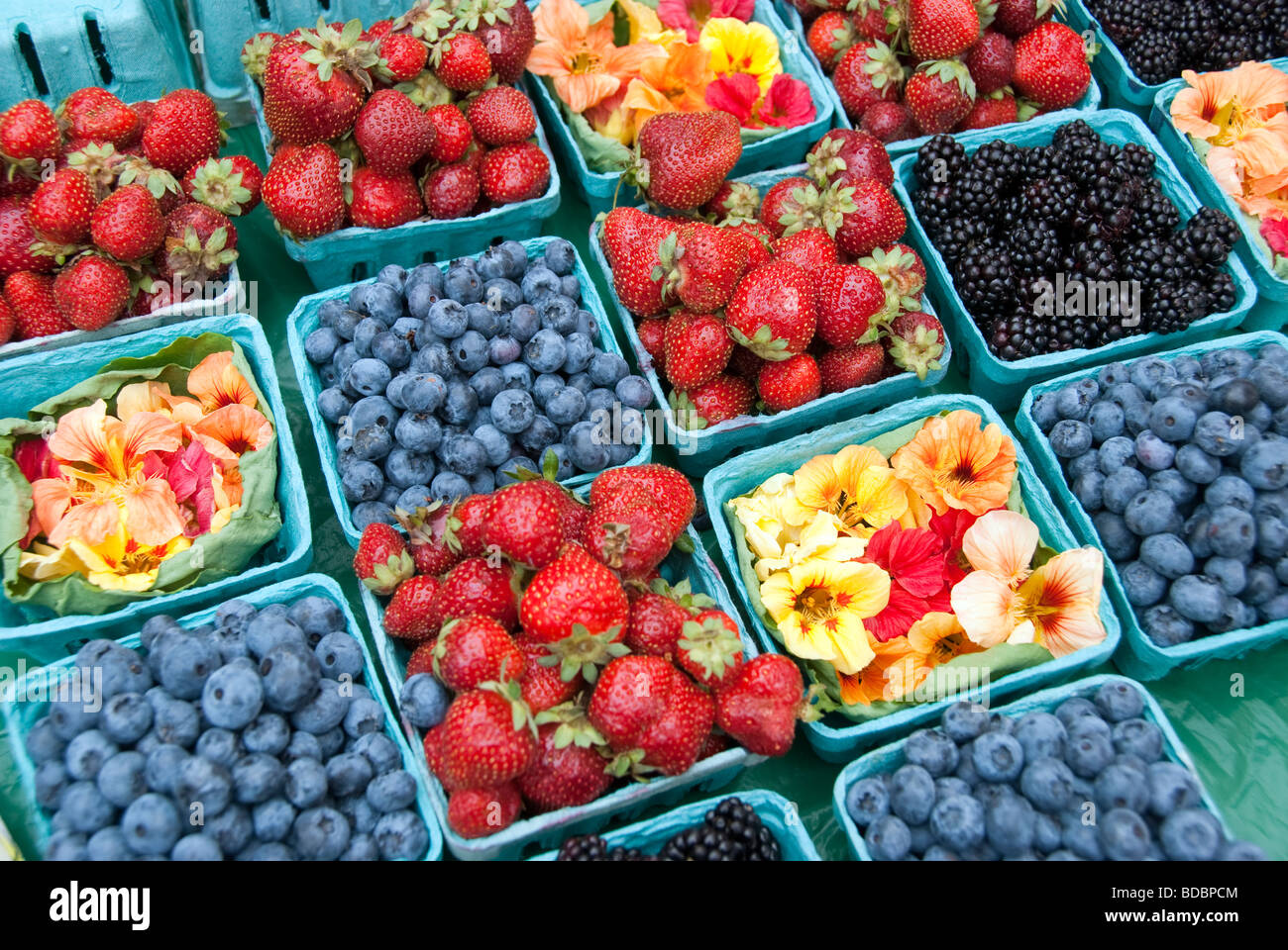 boxes of blueberries blackberries strawberries & nasturtium blossoms displayed for sale at farmers green market Bellingham WA Stock Photo