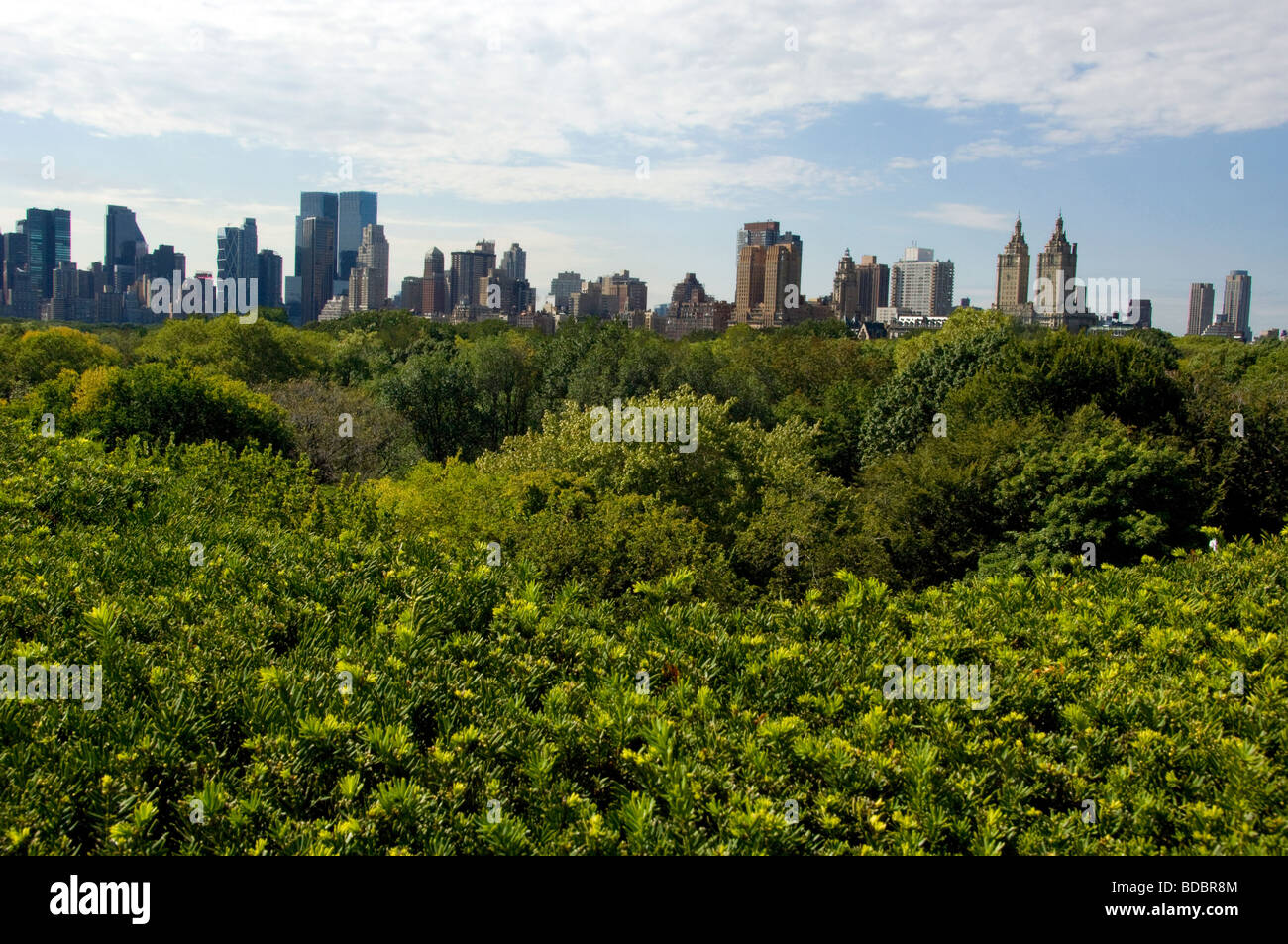 Visual Reference: Central Park New York Spring Buildings Hi Res Stock Photography
