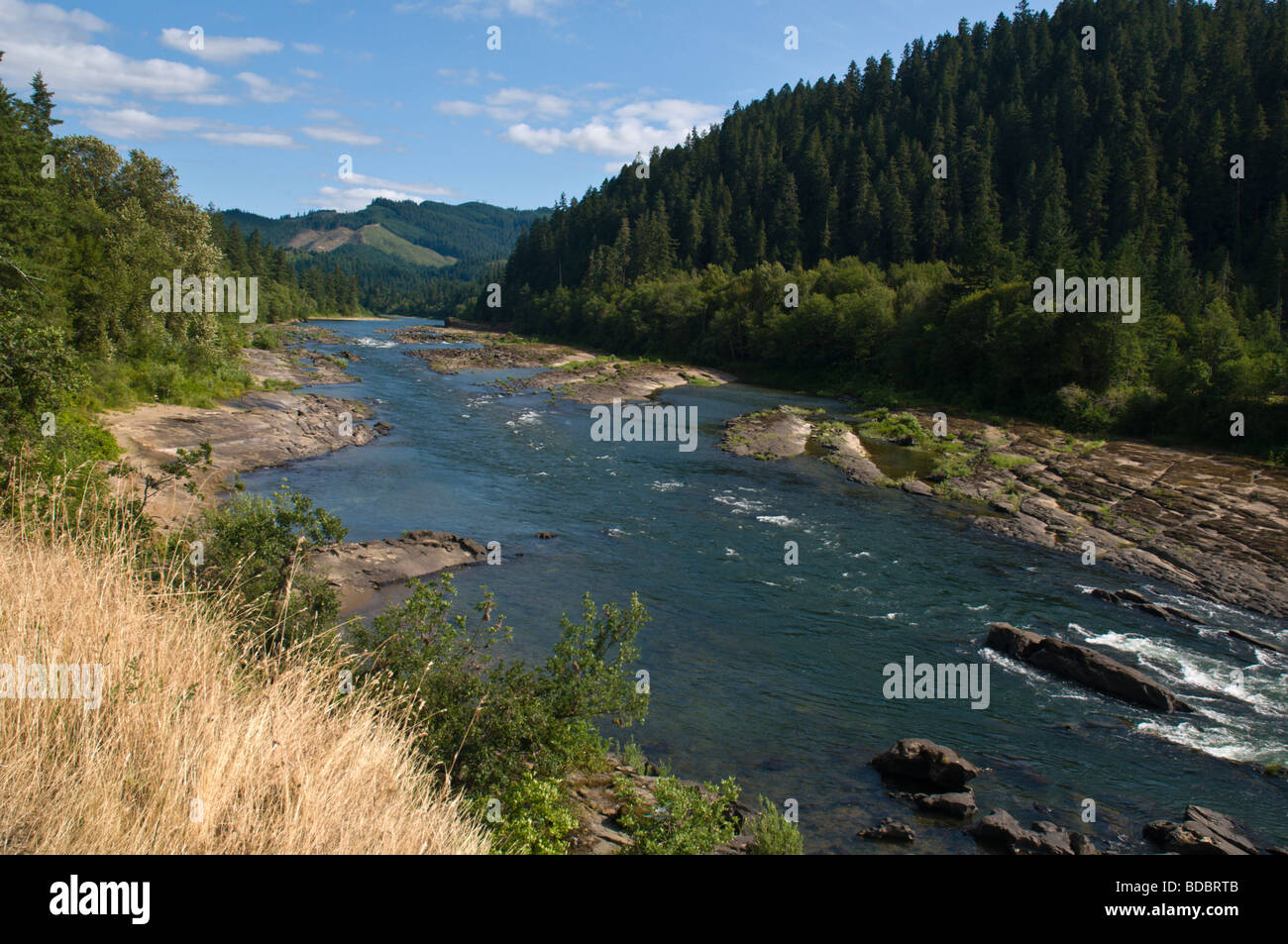 Umpqua River, about 15 miles upstream from Reedsport, OR Stock Photo ...