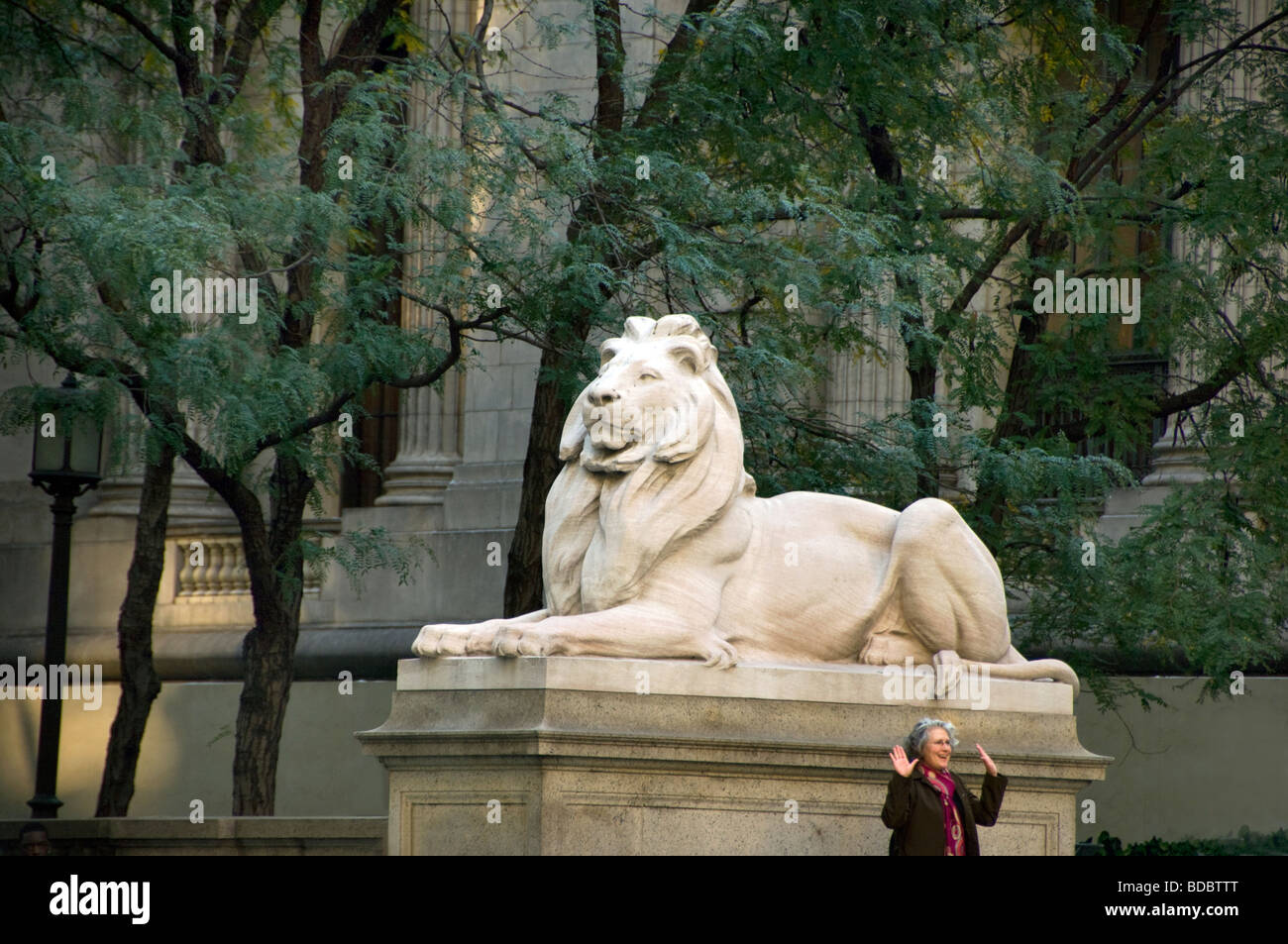 New york public library statue hires stock photography and images Alamy