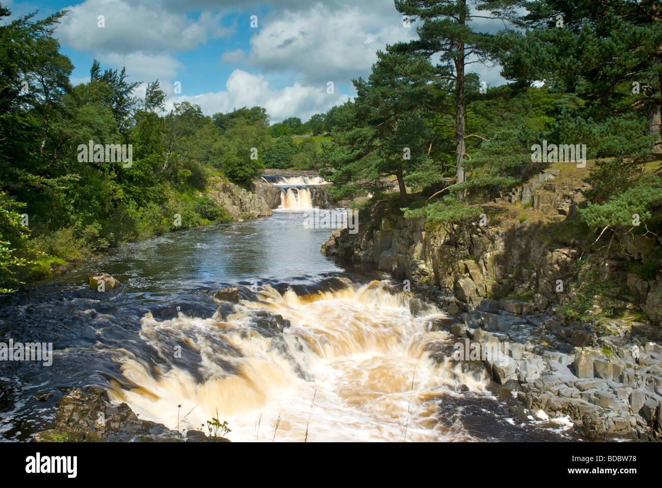 Low Force waterfall on River Tees, Upper Teesdale, Northumberland National Park, England UK Stock Photo
