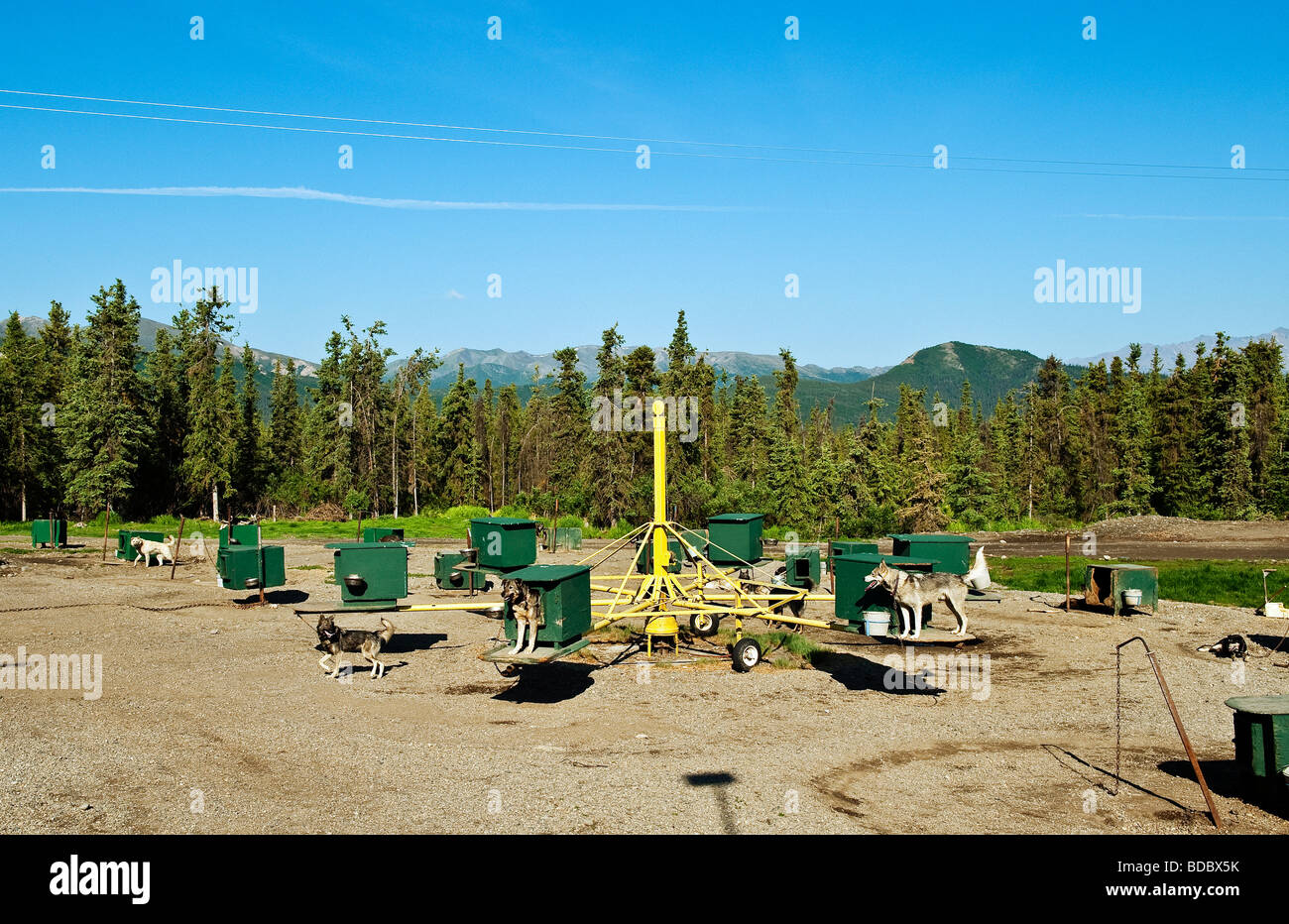 Jeff King's Husky Homestead Kennel Denali Alaska Stock Photo Alamy