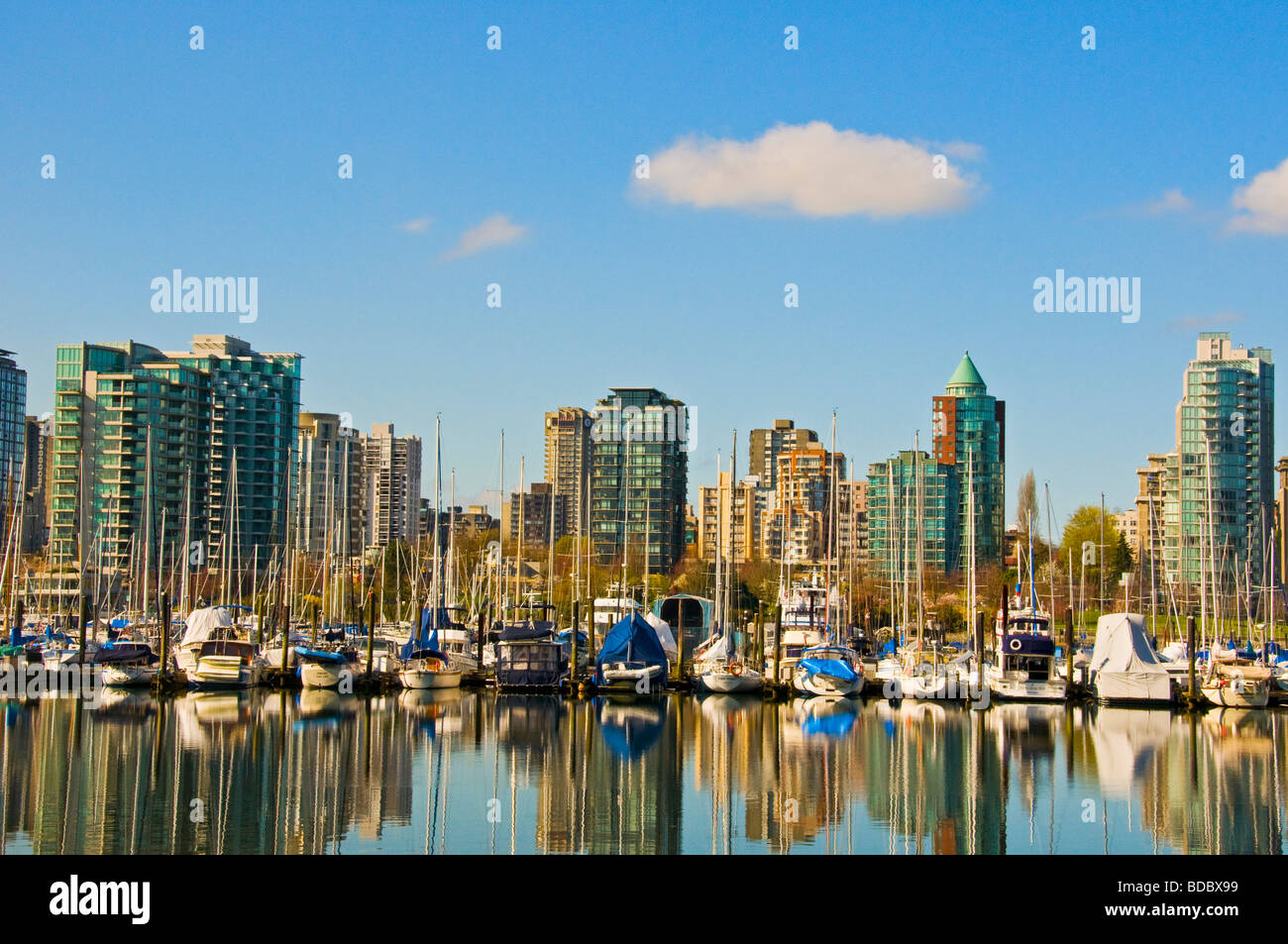 Skyline of Vancouver British Columbia seen from Stanley park Stock ...