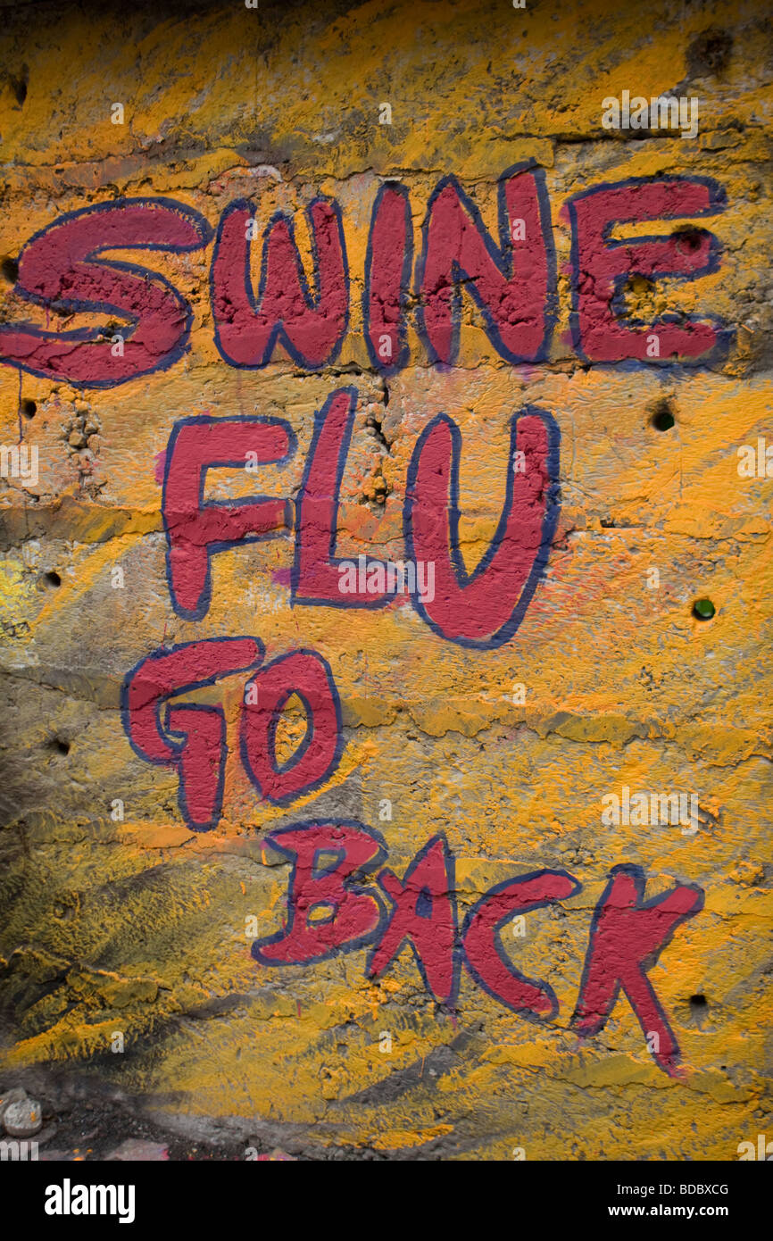 Anti  swine flu Graffiti on a wall in Mumbai Stock Photo
