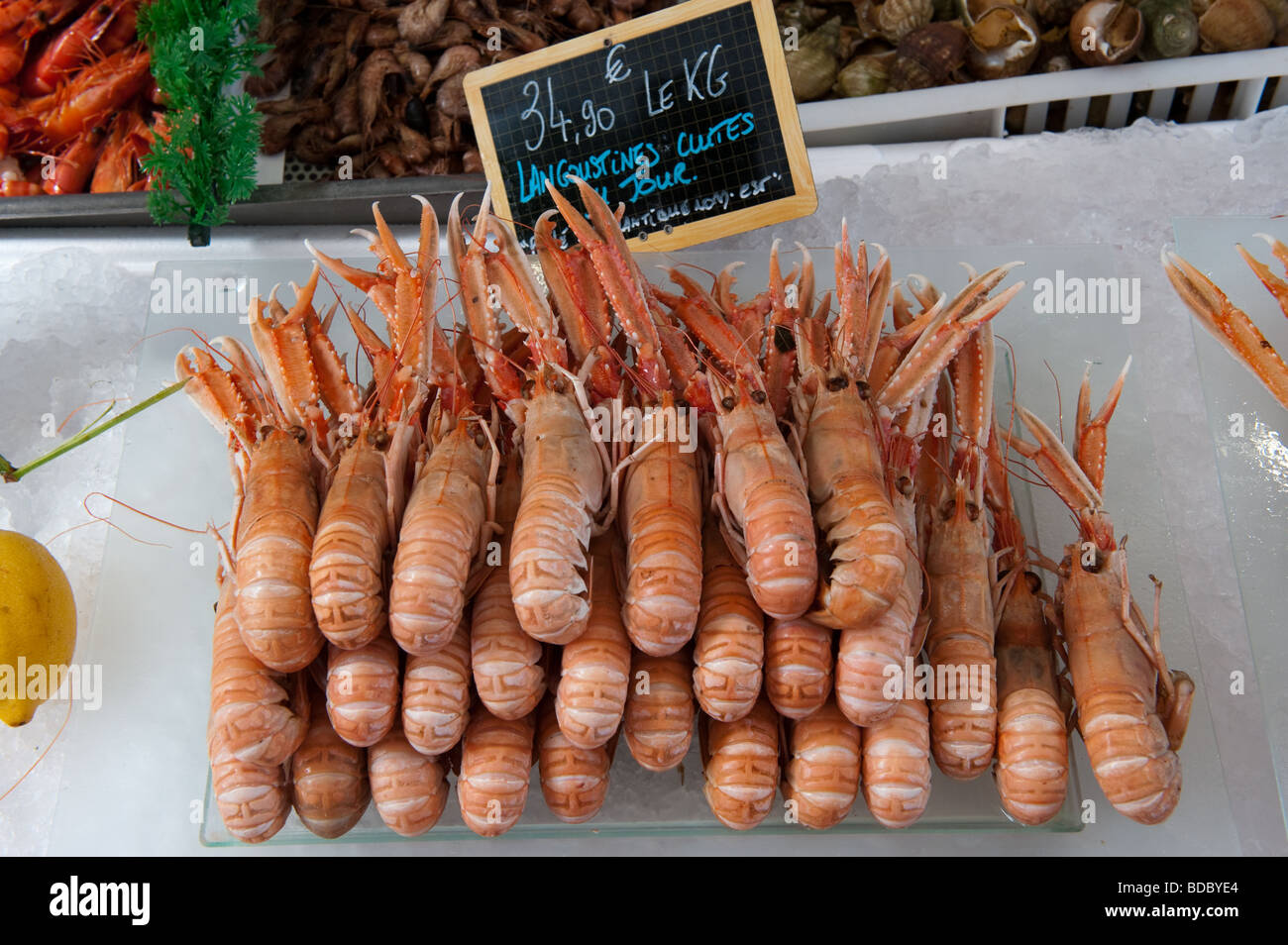 Fresh seafood for sale in the fishmarket at Trouville , Normandy, France Stock Photo