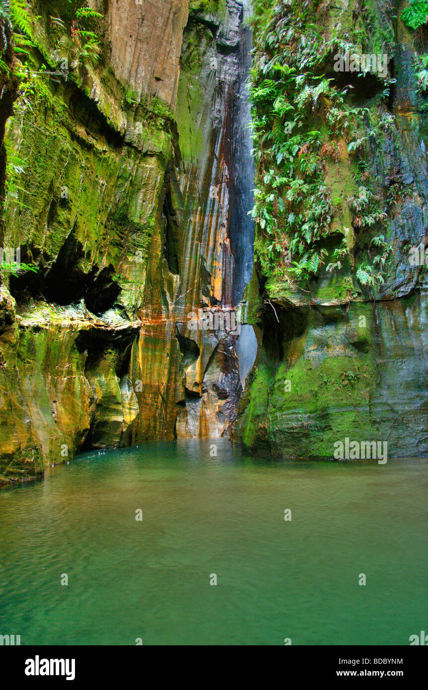 beautiful water pool in Isalo National Park in Madagascar Stock Photo