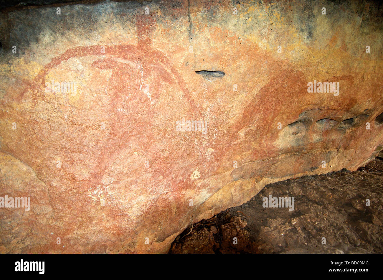 Figure representing a pregnant woman and (right) kangaroo. Traditional aboriginal rock art of the Guugu Yimithirr Stock Photo