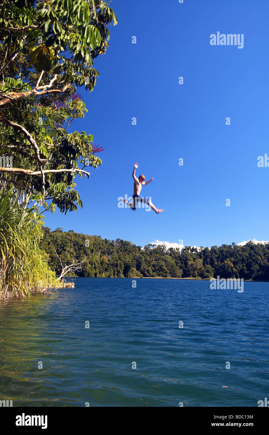 Youth jumping from tree into Lake Eacham, Crater Lakes National Park, north Queensland, Australia Stock Photo