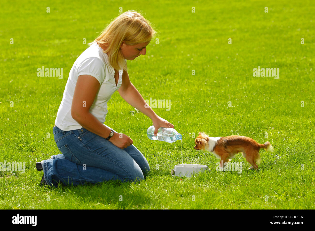Can Dogs Get Sick From Water Bowl