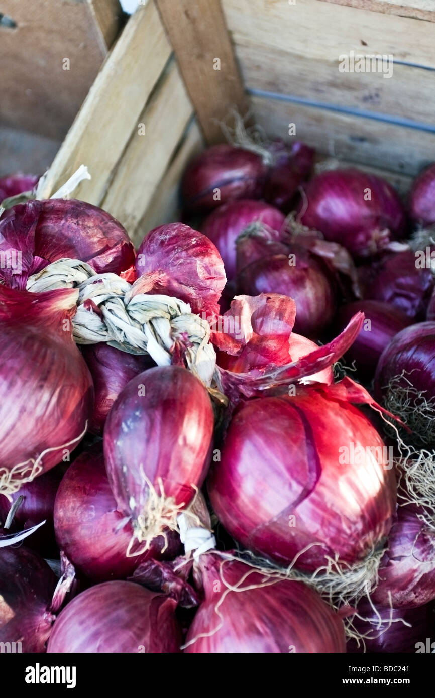 Red onion of Tropea in a wood tray IGP caratteristic food of Calabria South of Italy Stock Photo