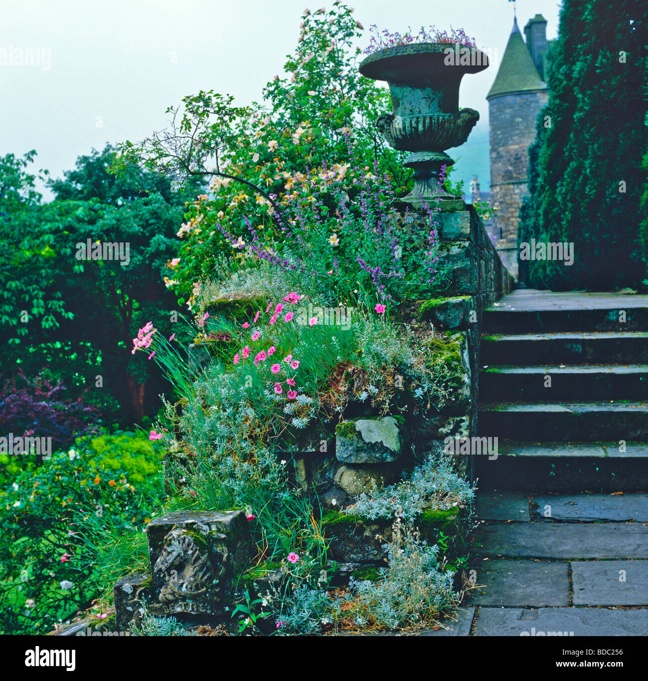 The historic gardens of 16th century Falkland Palace in the Kingdom of Fife Scotland Stock Photo