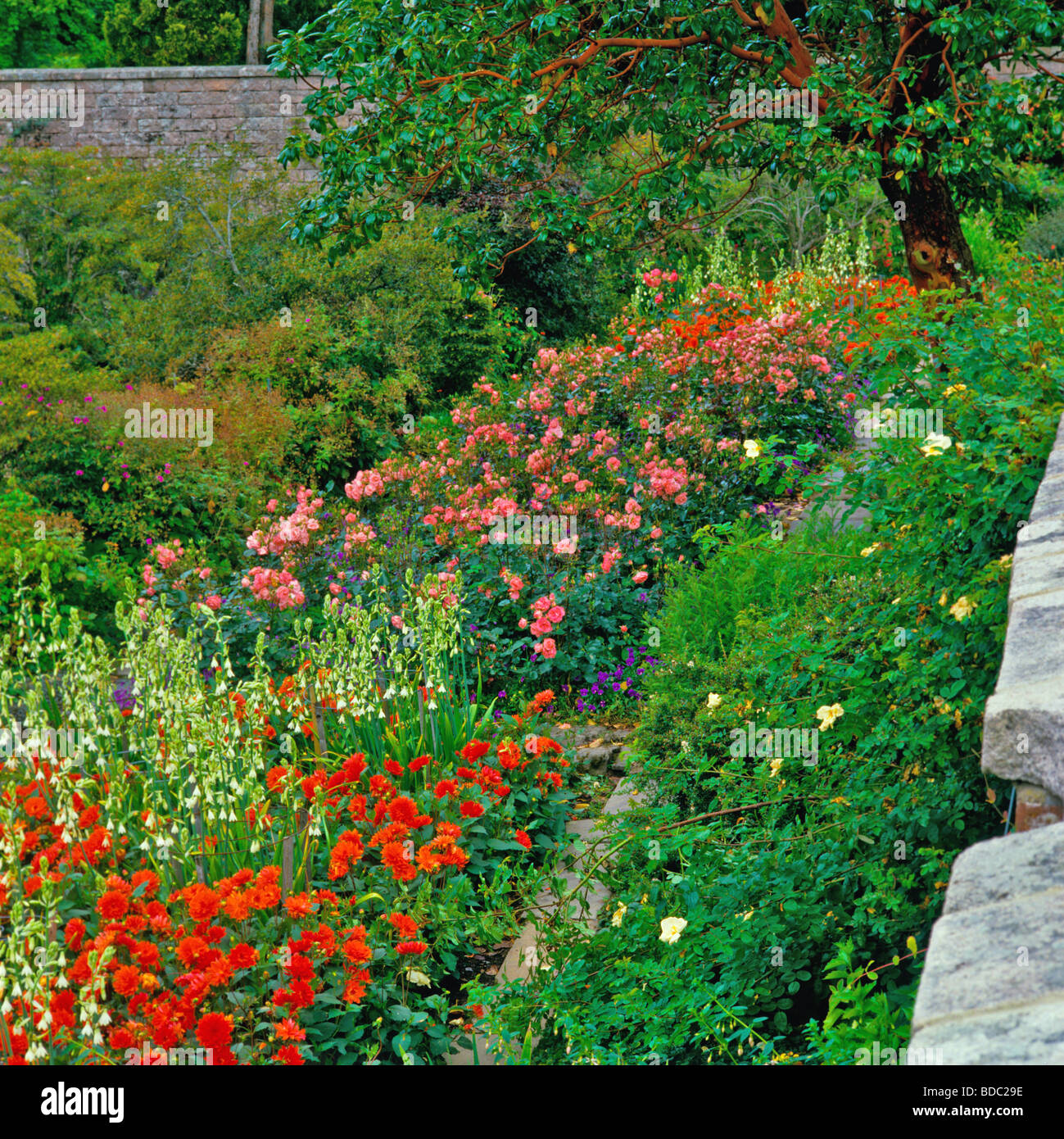 Garden terrace with flower borders hi-res stock photography and images ...