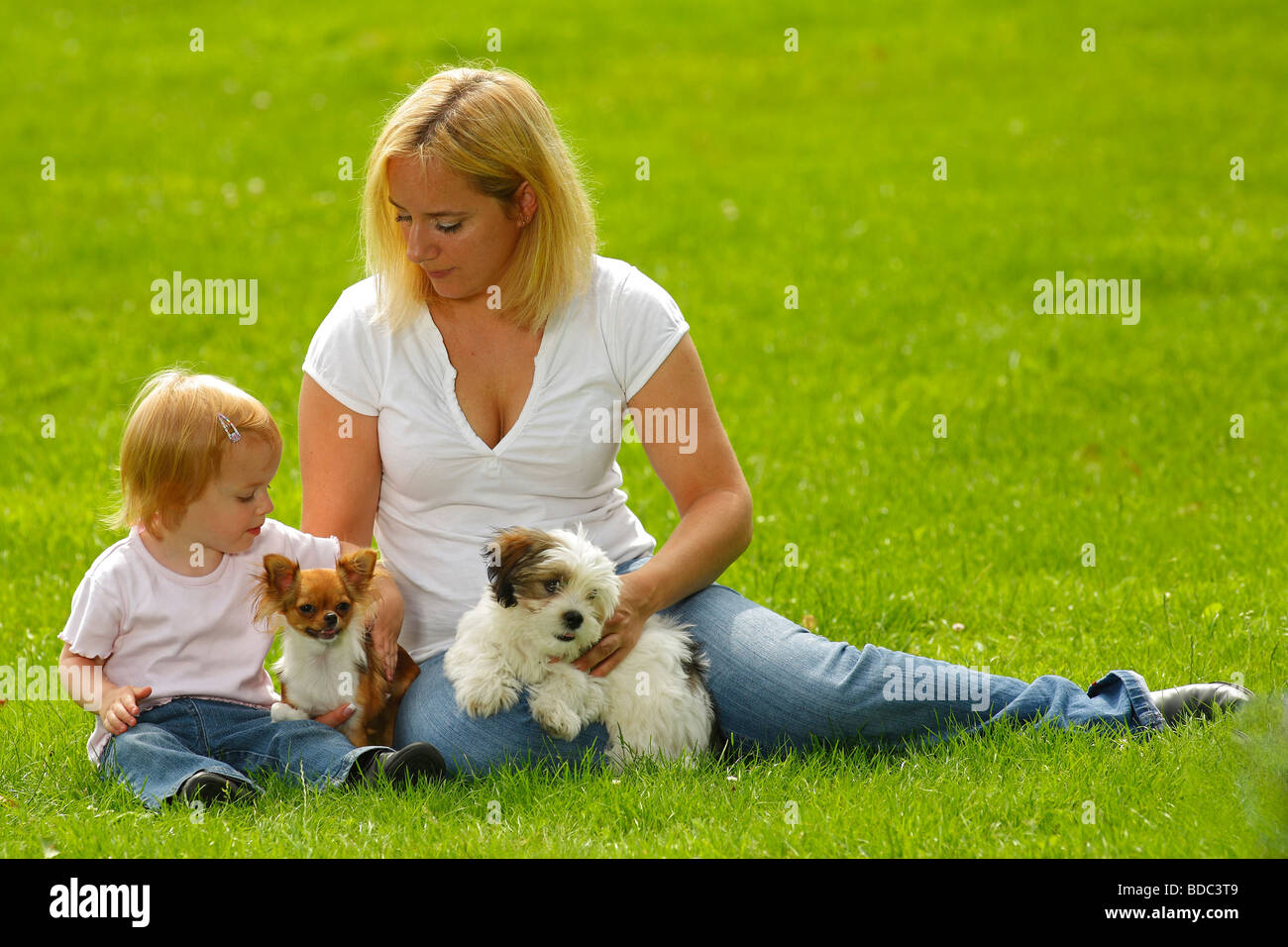 Woman and daughter with Chihuahua and Mixed Breed Dog puppy caressing stroking Stock Photo