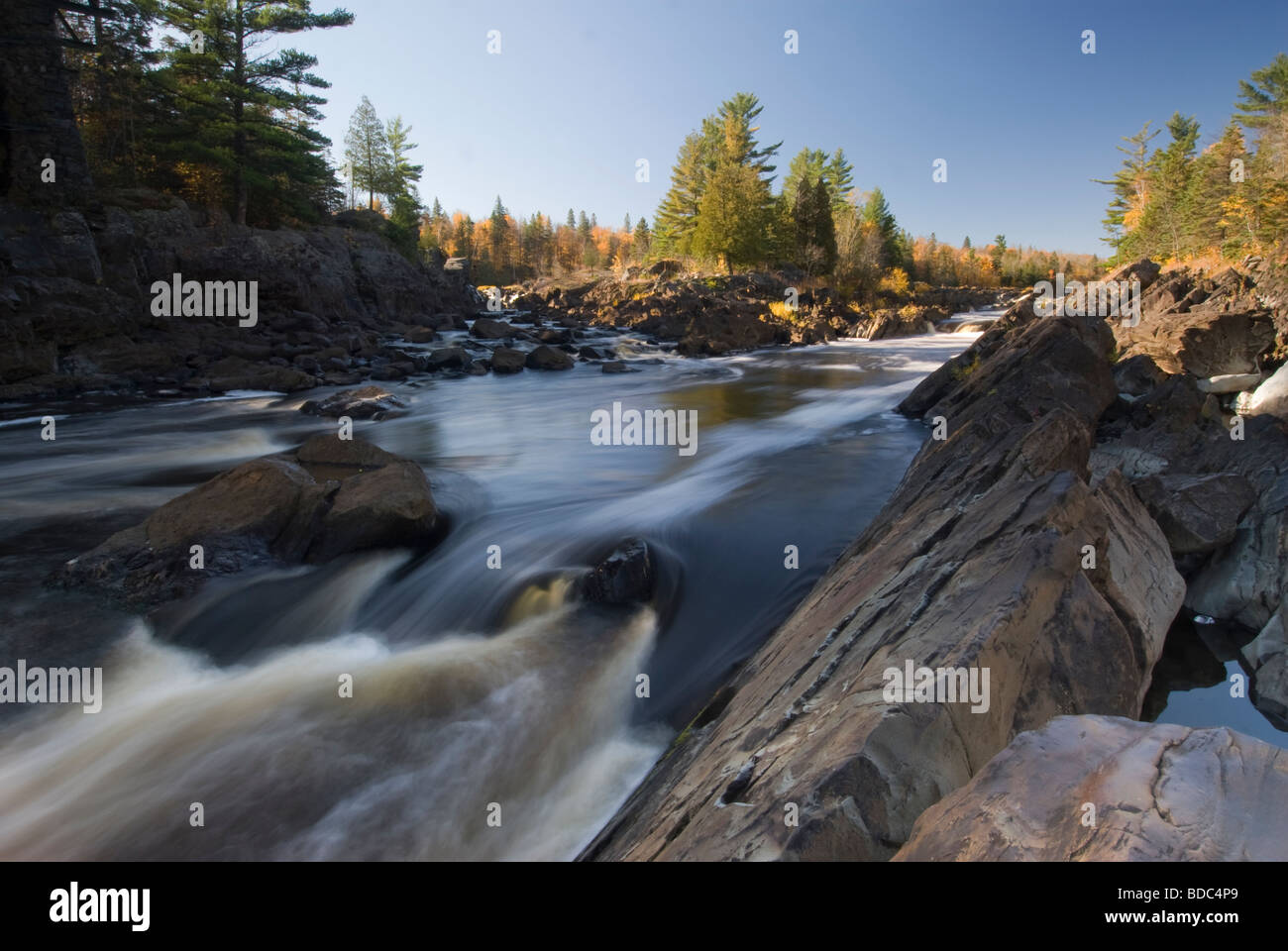 Jay, Cooke, State Park, Minnesota, USA Stock Photo Alamy