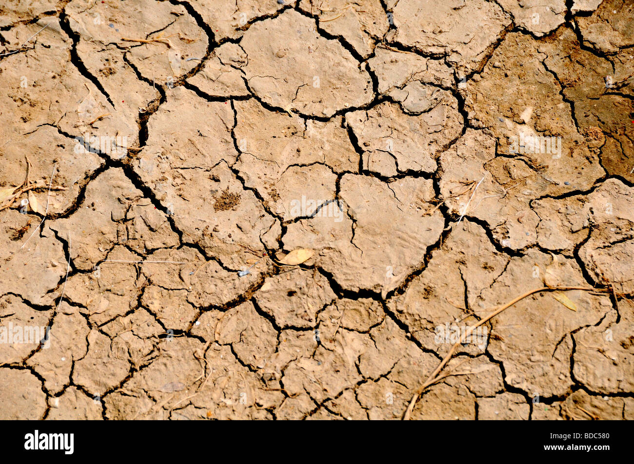 Natural textures Stock Photo 25468464 Alamy