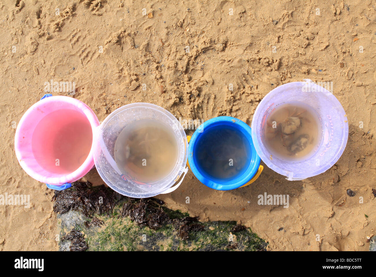 A line of colorful buckets placed on a sandy beach during the summer months Stock Photo