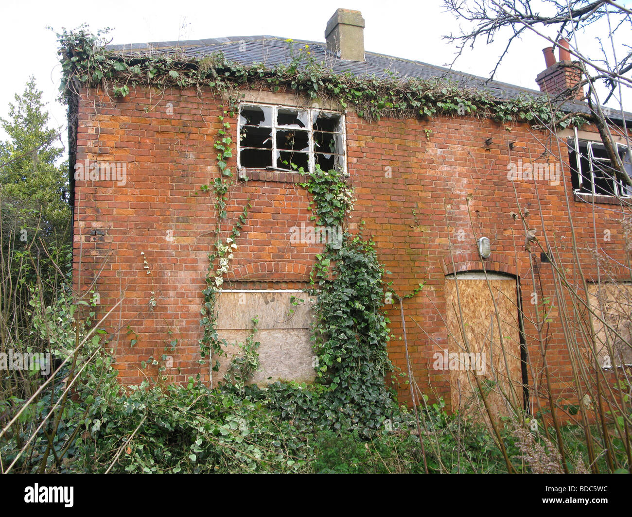 Derelict cottage overgrown with ivy Stock Photo