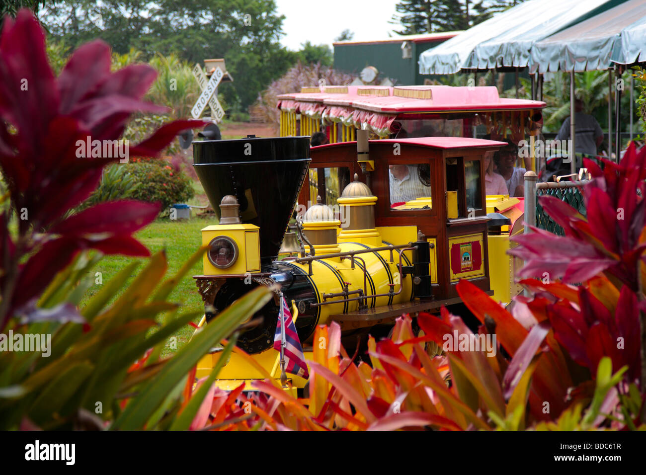 The pineapple express sets off on a tour at the Dole Plantation Oahu