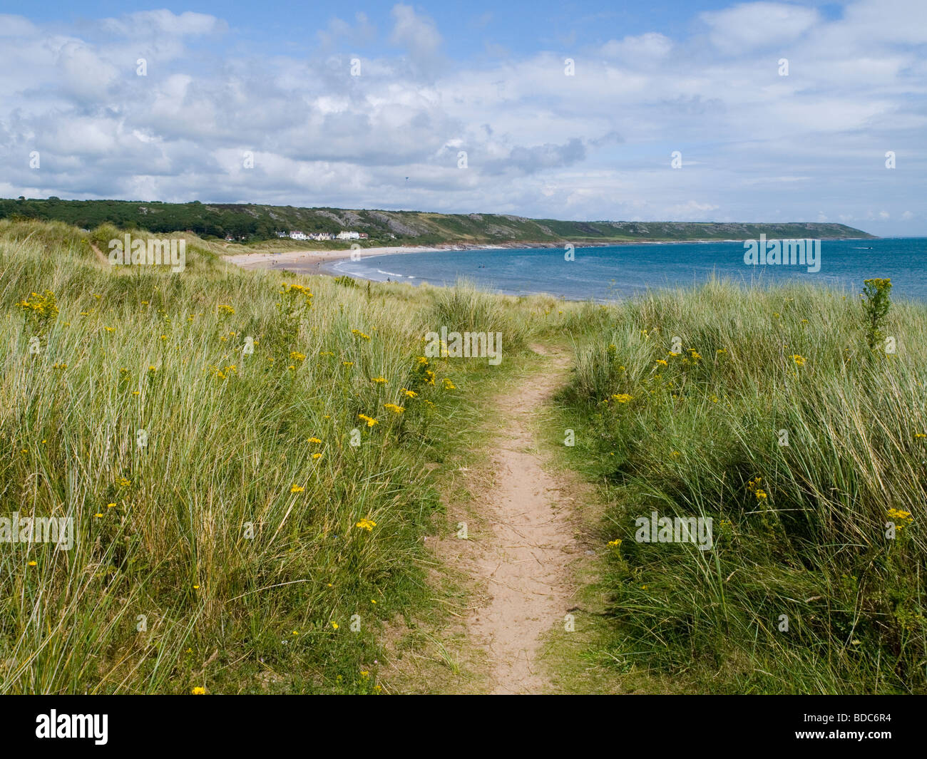 A view through the grass by the beach at Port Eynon, Gower Peninsula Swansea Wales UK Stock Photo