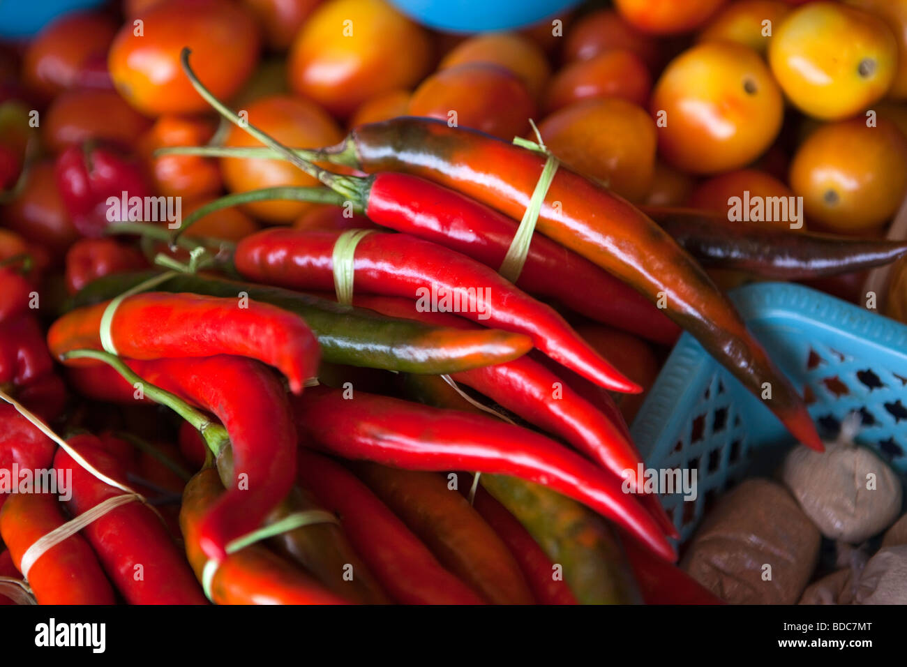 Indonesia Sulawesi Tana Toraja Rantepao daily market bundles of fresh locally grown hot chillis Stock Photo