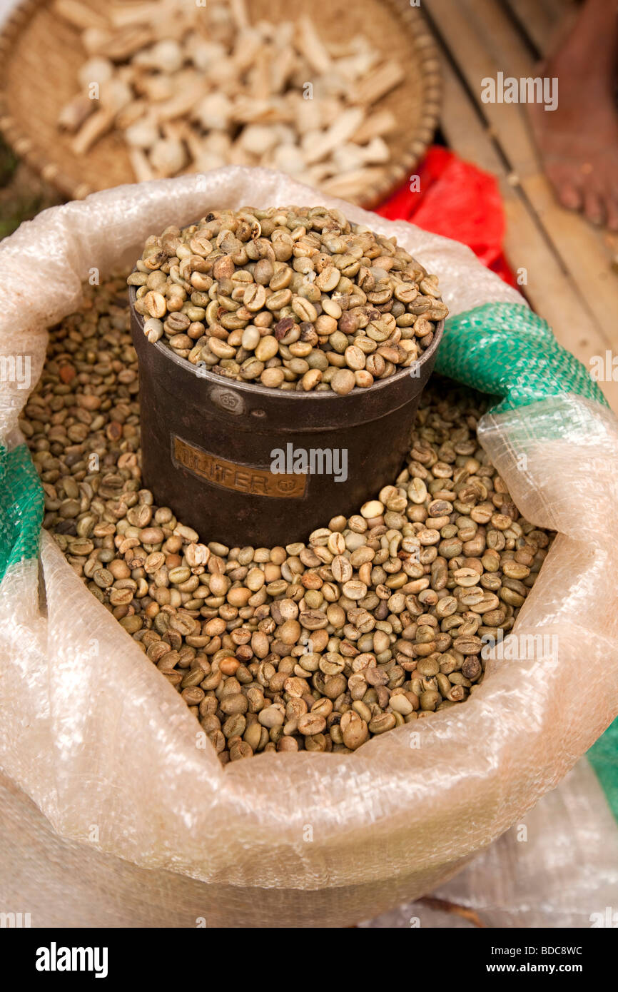 Indonesia Sulawesi Tana Toraja Totumbang village weekly market green unroasted coffee beans for sale Stock Photo