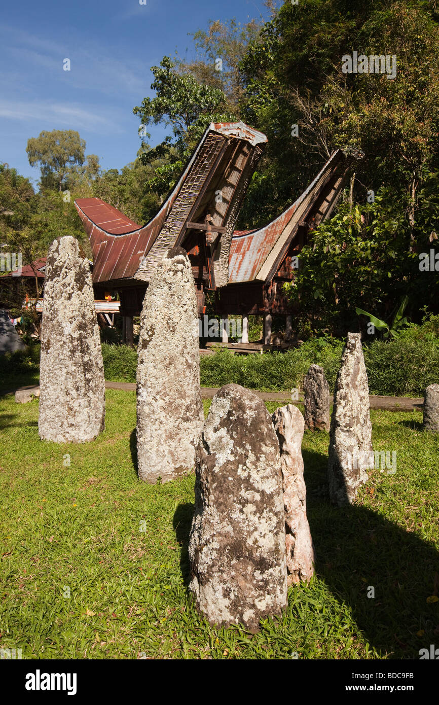 Indonesia Sulawesi Tana Toraja Kalimbuang village stone megaliths amongst tongkonan houses Stock Photo