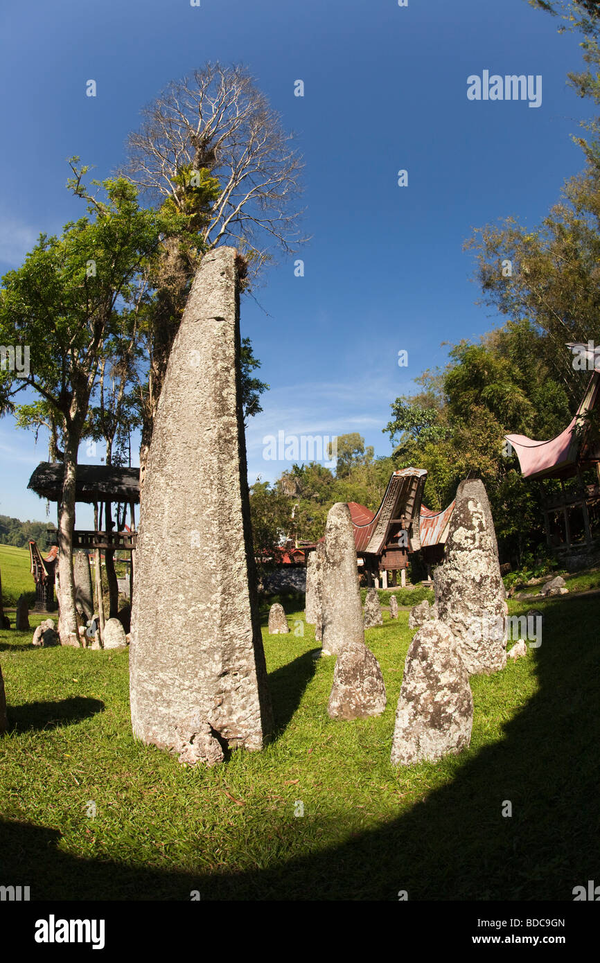 Indonesia Sulawesi Tana Toraja Kalimbuang village stone megaliths amongst tongkonan houses fisheye lens view Stock Photo