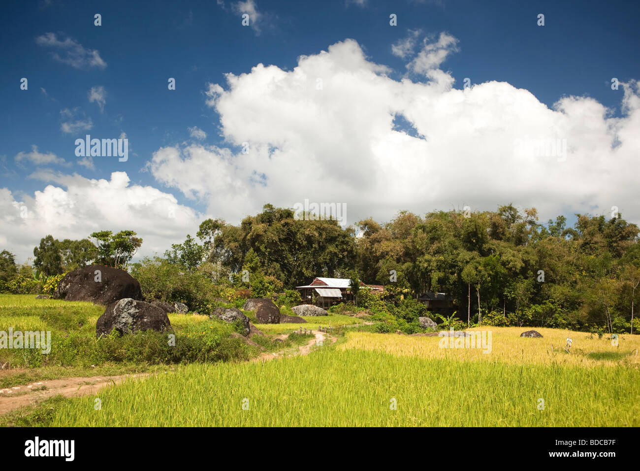 Indonesia Sulawesi Tana Toraja Tikala farmhouse amongst remote rural village paddy fields Stock Photo