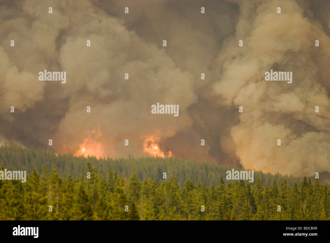 Forest Fire Controlled Burn June 2009 Saskatchewan Valley Banff National Park Alberta Canada LA003977 Stock Photo