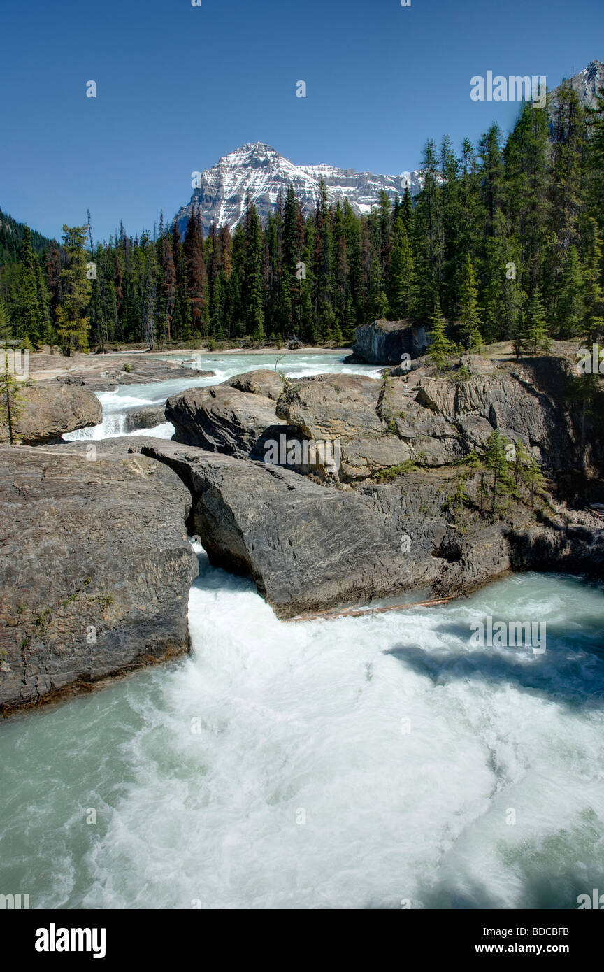 Yoyo national park hi-res stock photography and images - Alamy
