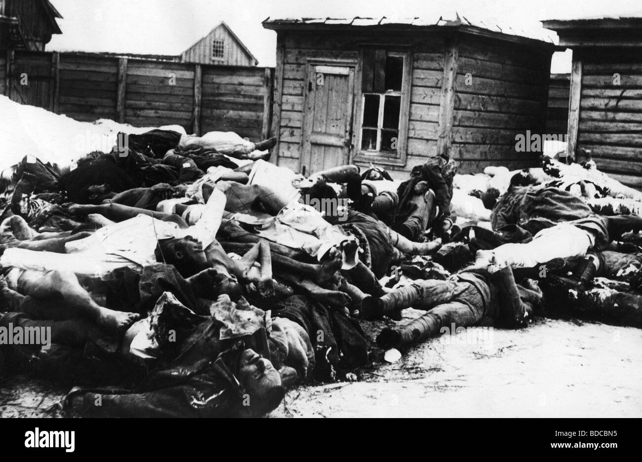 geography / travel, Russia, Civil War 1917 - 1920, corpes of farmer and labourer shot by white troops of Admiral Kolchak, Omsk, 1919, dead, civilists, crime, atrocities, Sibiria, historic, historic, historical, 20th century, people, 1910s, Stock Photo