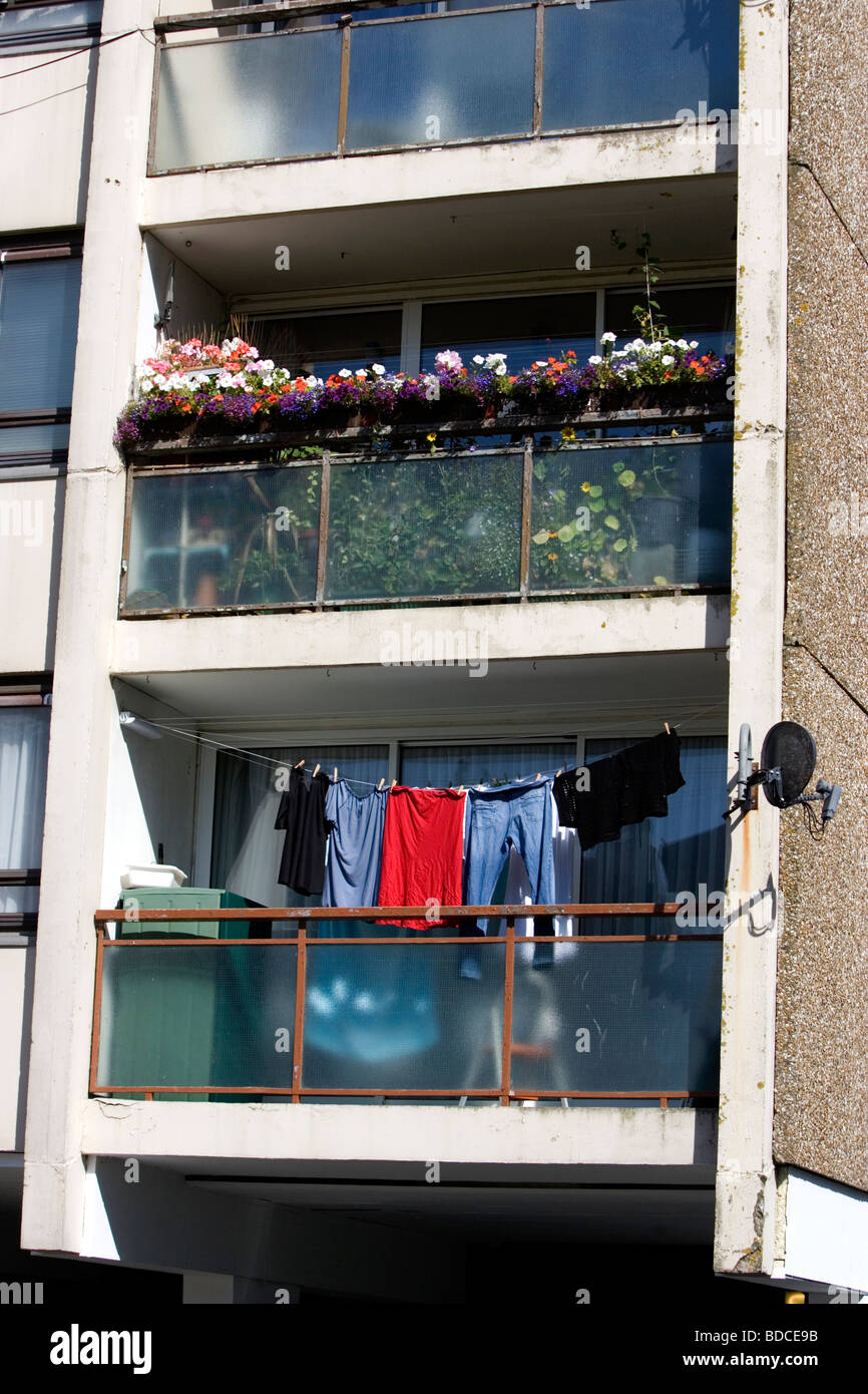 Close up section of a council housing tower block with flowers, satalite TV and a washing line on display in Whitehawk, Brighton Stock Photo
