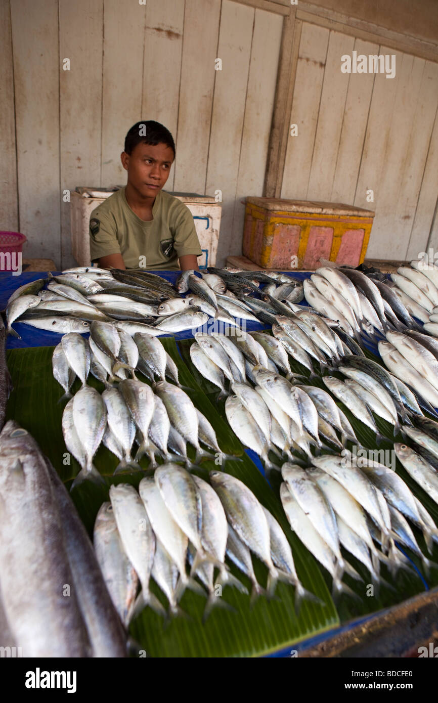 Indonesia Sulawesi Tana Toraja Rantepao daily market fresh fish stall with miserable stallholder Stock Photo