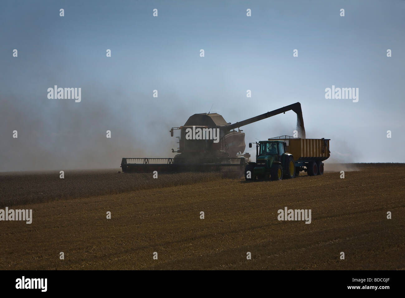 Combine Harvester and tractor at work in Ashen Essex near Clare in