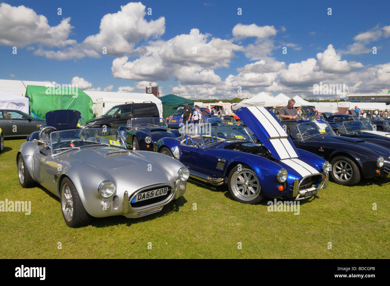 AC Cobra sports cars at the Silverstone Classic 2009 Stock Photo - Alamy