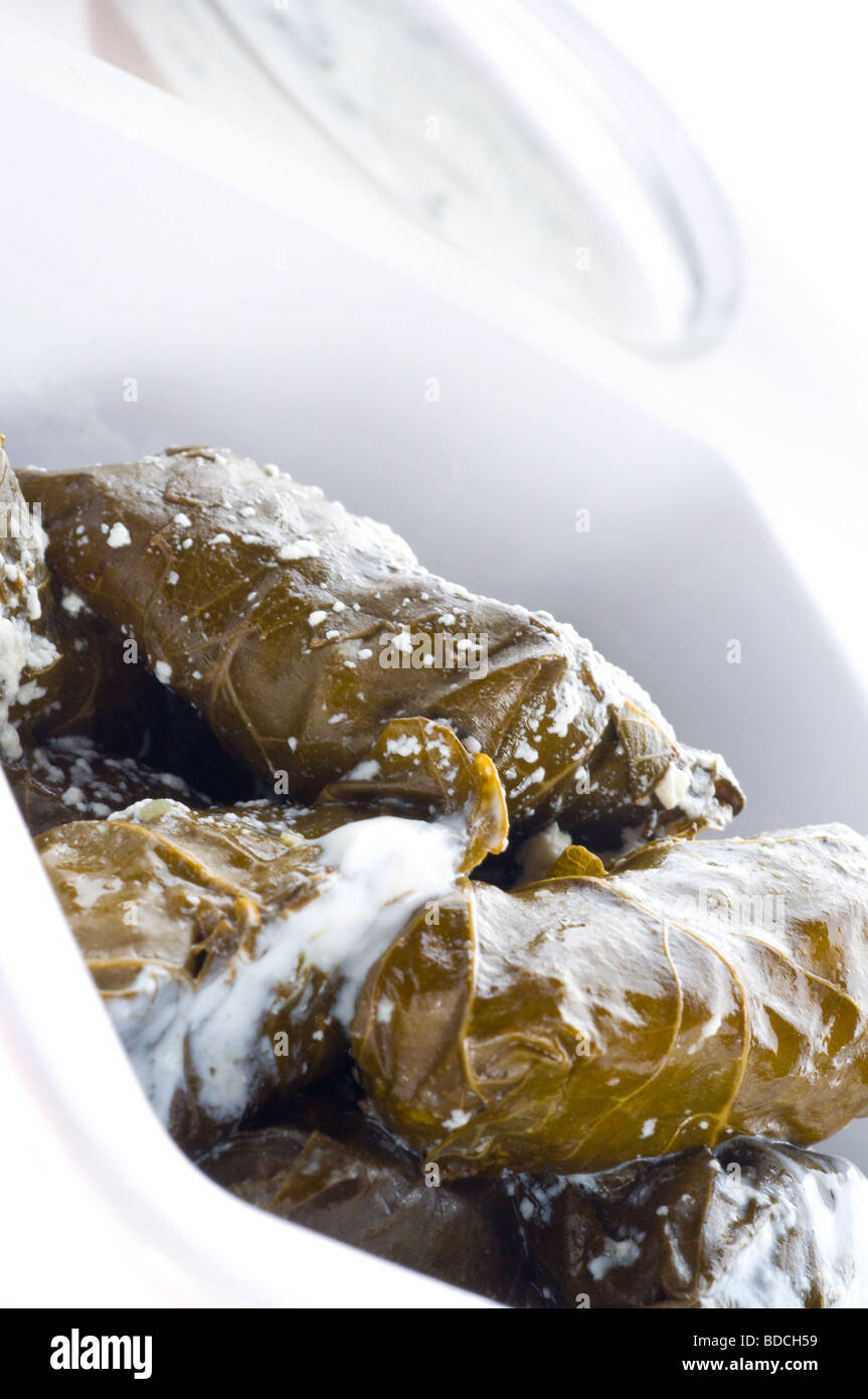 dolma national Georgian dish Isolation on the white Stock Photo
