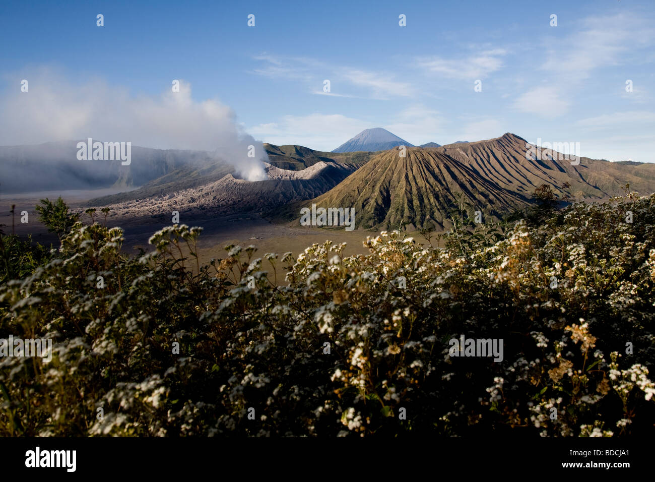 Mount Bromo, Batok and semeru, Java, Indonesia Stock Photo