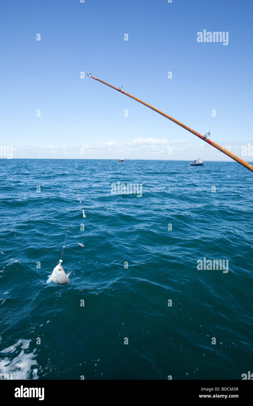 Fishing on the Sea Fox charter boat from Portsmouth England Stock Photo
