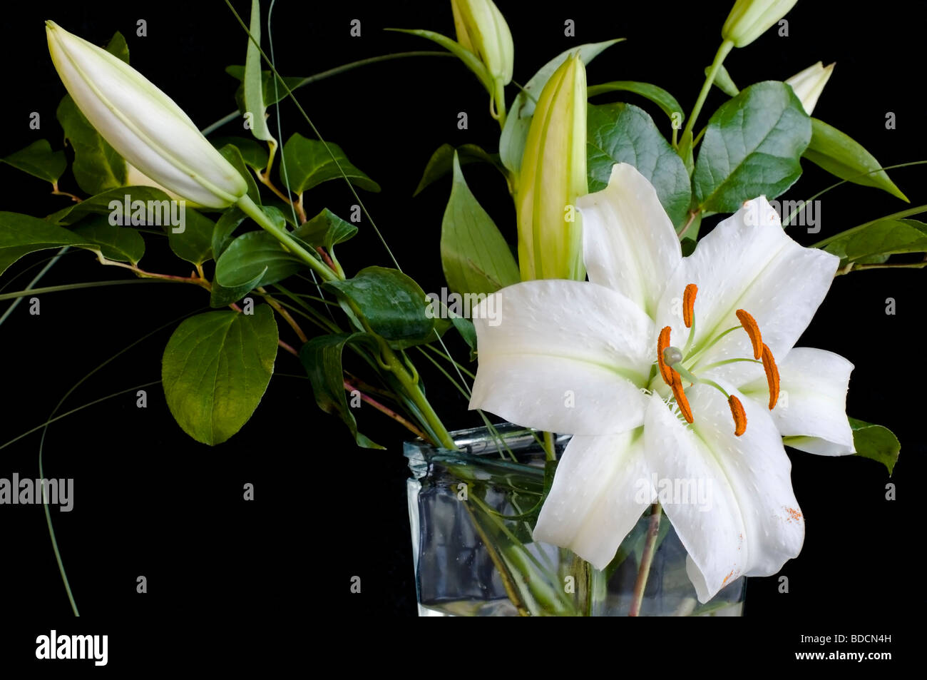 Bunch of lilies vase hires stock photography and images Alamy