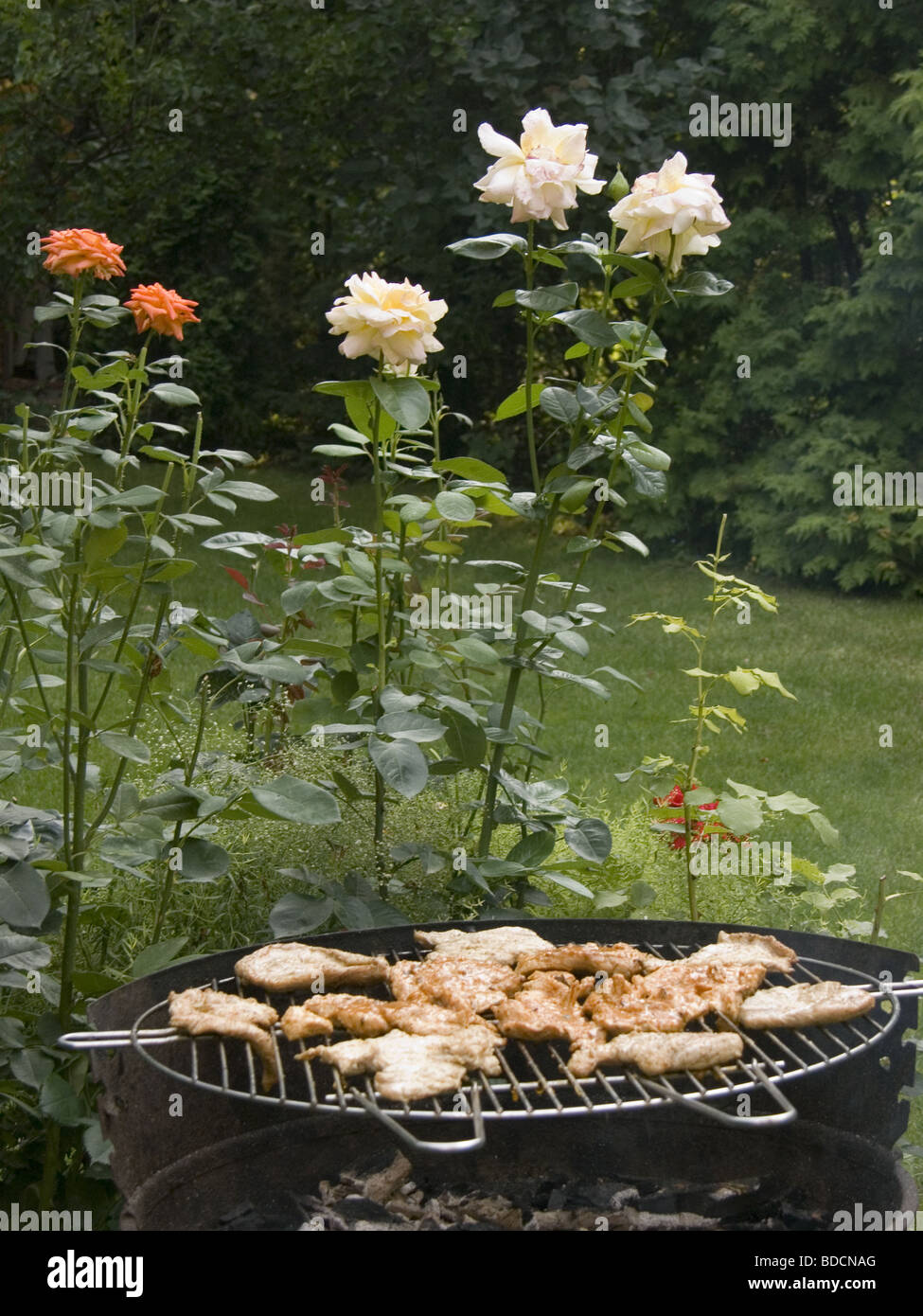 Grill Grilling Charcoal Briquette Heat Fire Stock Photo