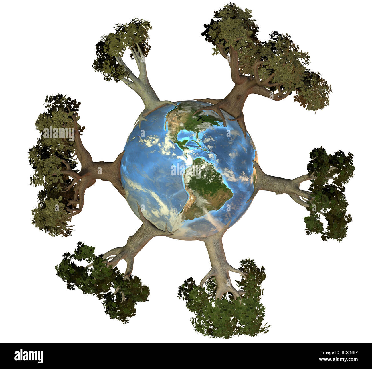 Earth with trees america Stock Photo