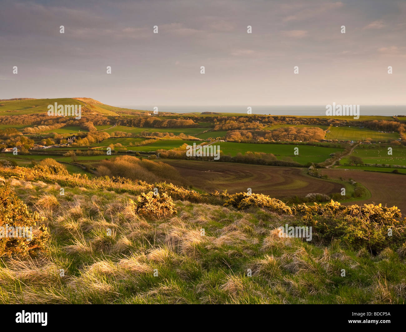 View from Creech Hill at sunset Purbeck Dorset UK Stock Photo - Alamy