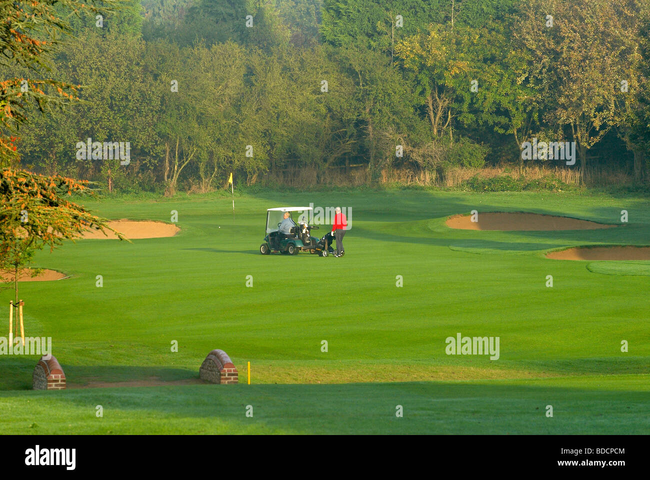 golfers and golf buggy Stock Photo Alamy