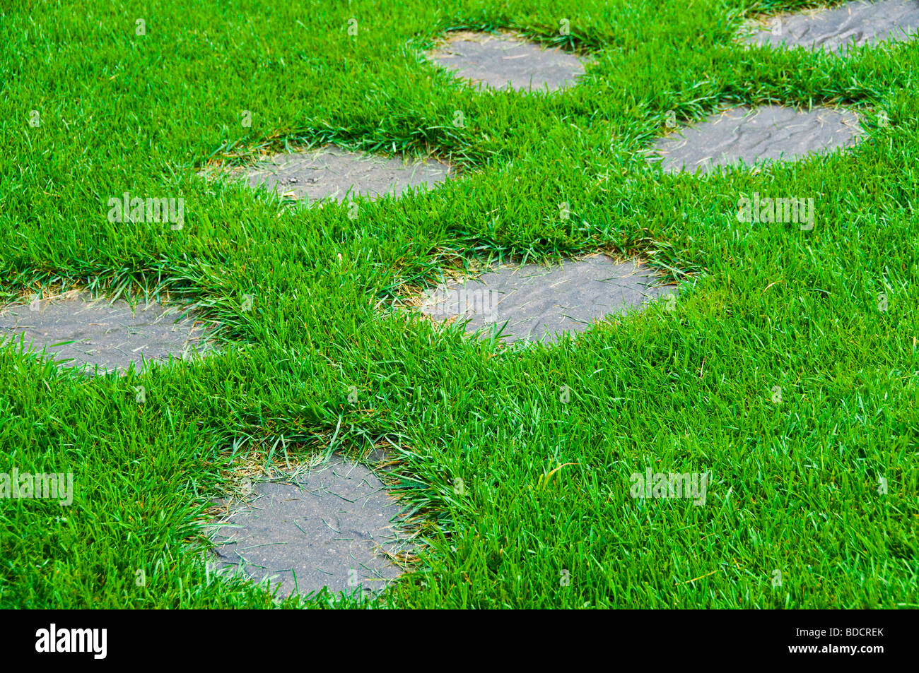 Lawn and pavement Stock Photo