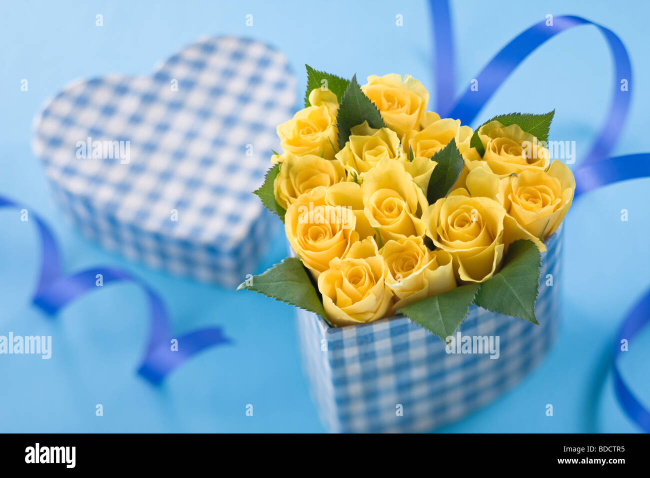 Yellow rose in heart shaped box Stock Photo