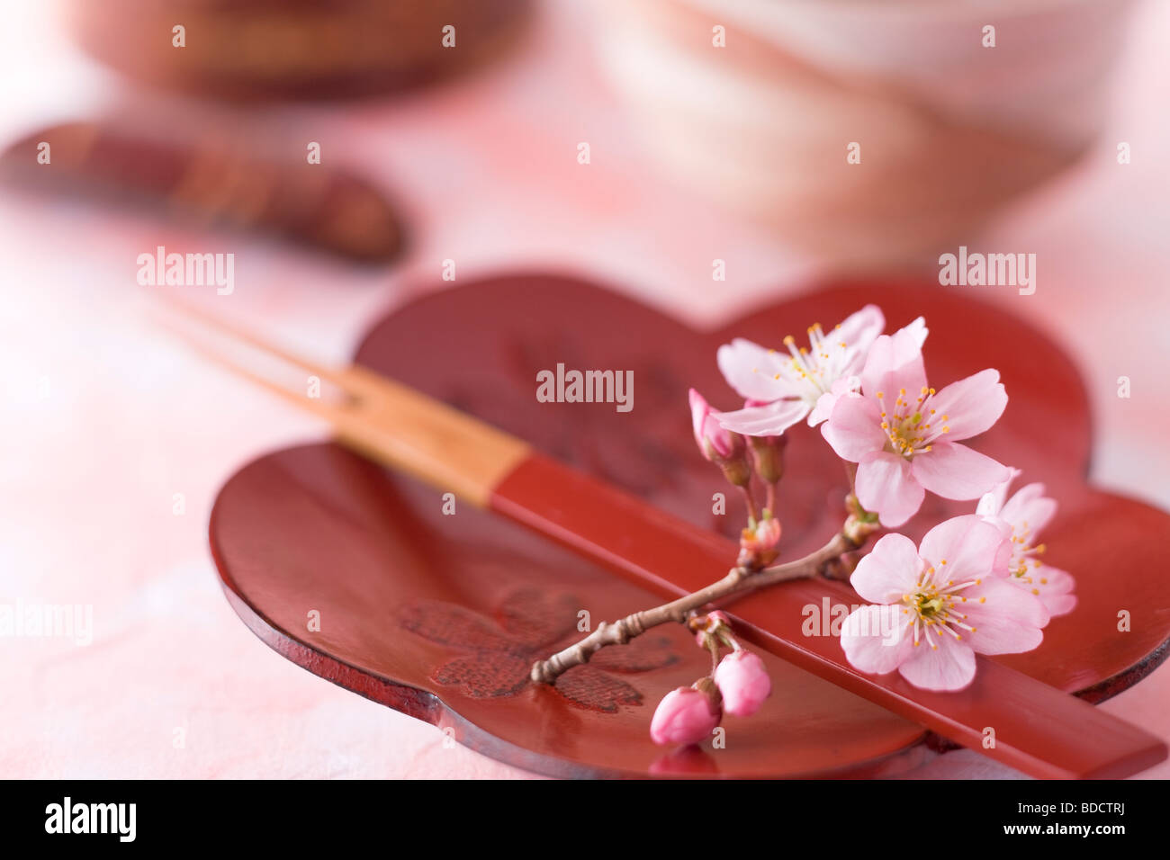 Flower shaped plate and cherry blossoms Stock Photo