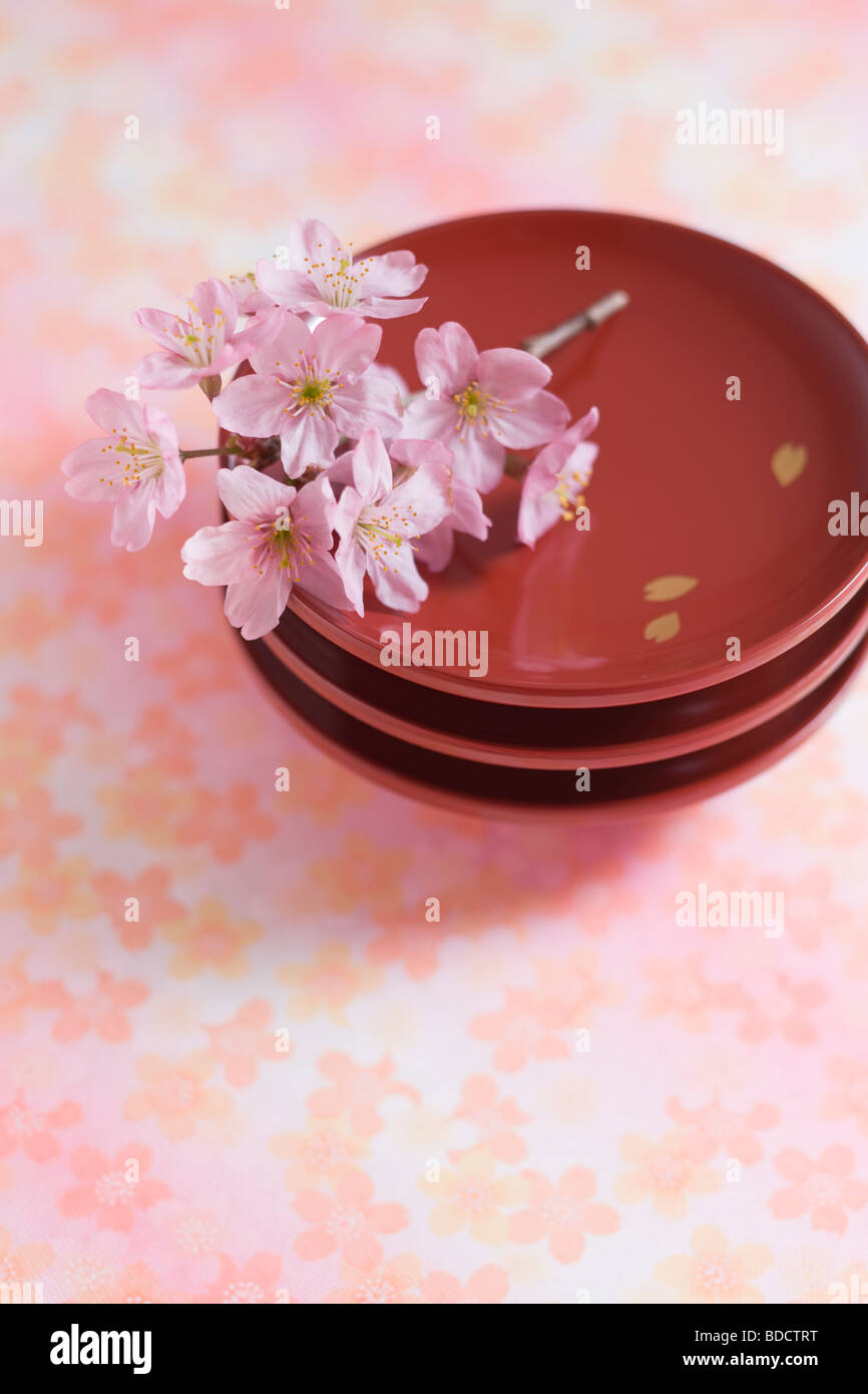 Plate and cherry blossoms Stock Photo