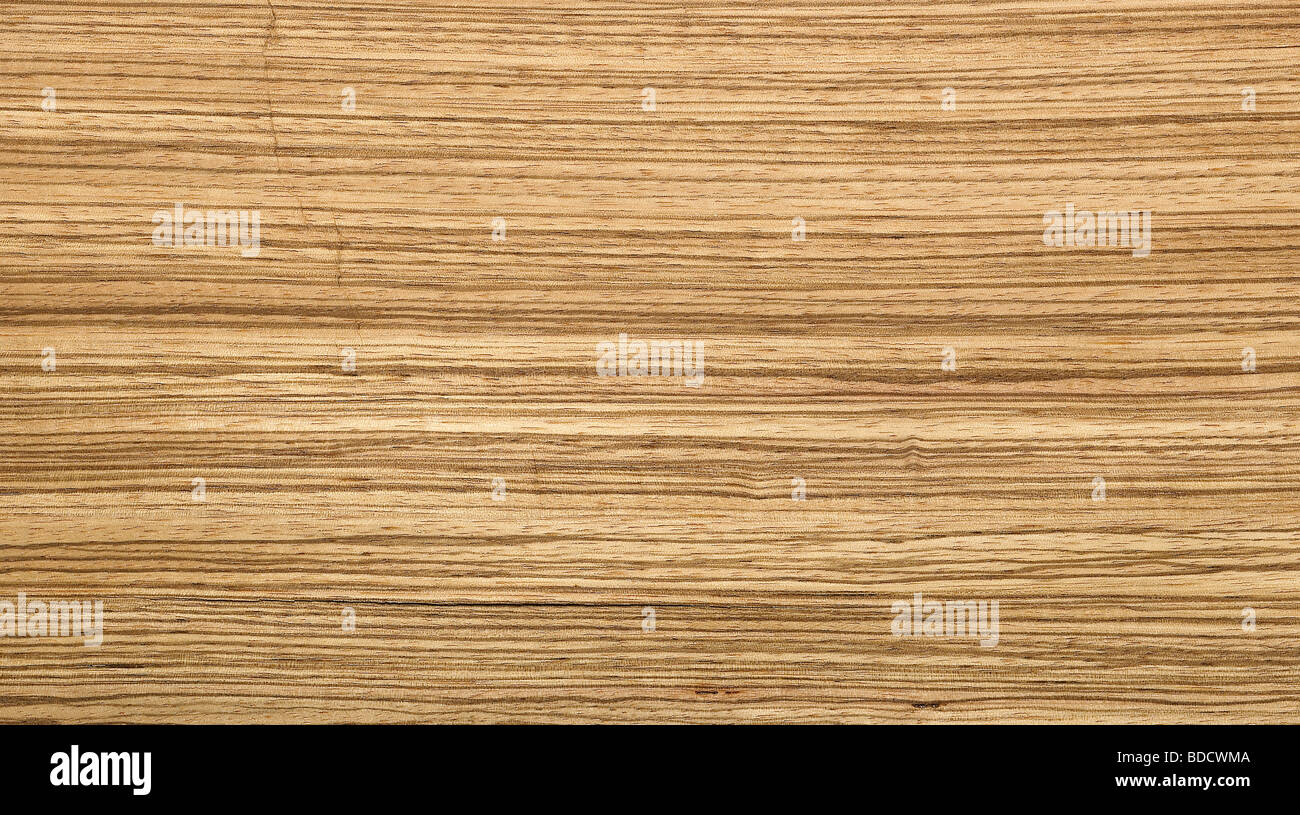 Zebrano wood hires stock photography and images Alamy