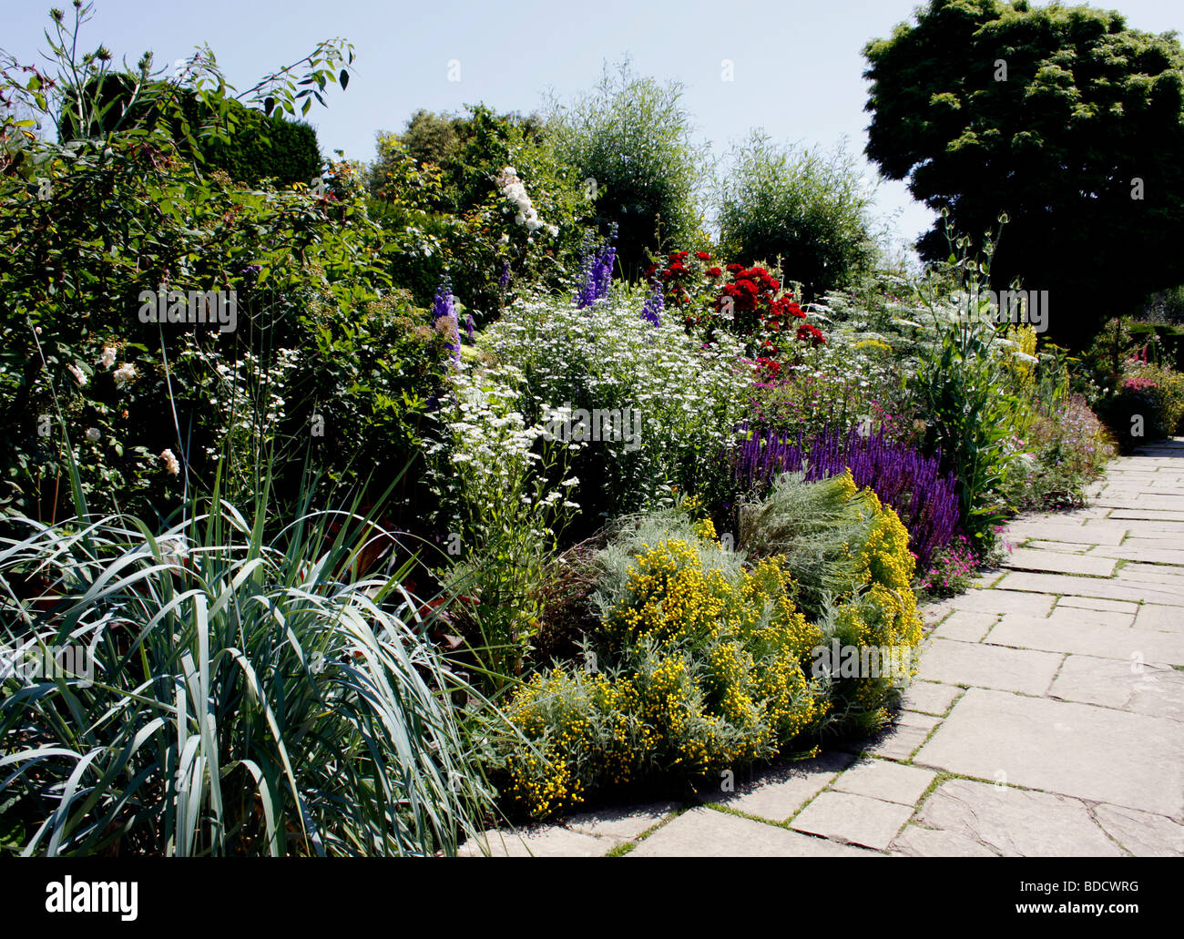 A COLOURFUL SUMMER BORDER IN AN ENGLISH COUNTRY GARDEN Stock Photo - Alamy